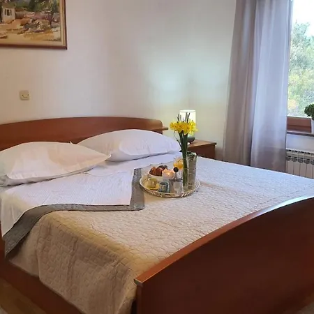 Tatil Evi Goga